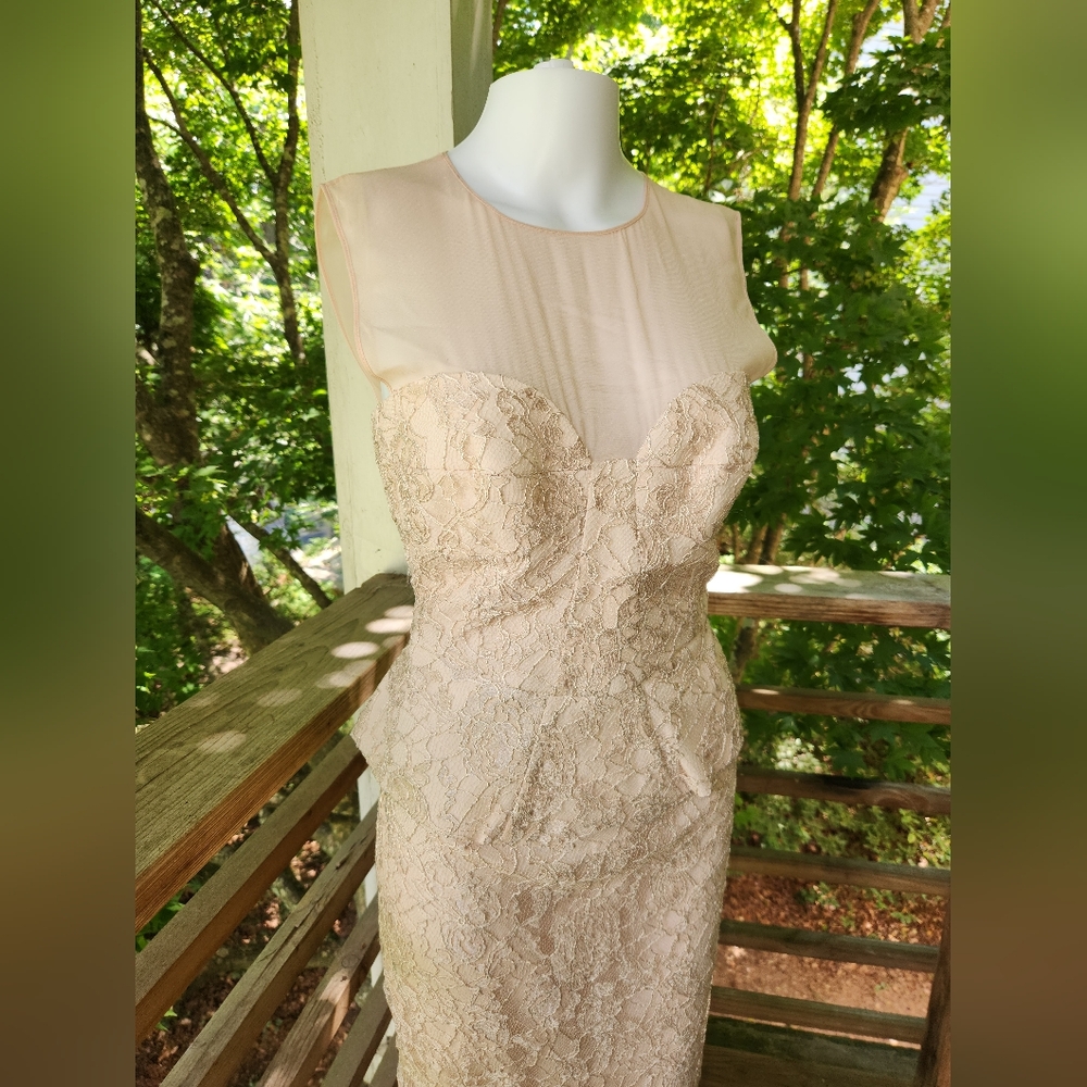 Emilio Pucci lace illusion bustier pencil dress silk 10